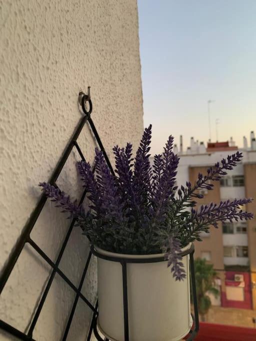 Montequinto Anfitriones De Glamour - Albor De Sevilla מראה חיצוני תמונה